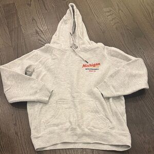 Gray Michigan Wolverines Hoodie